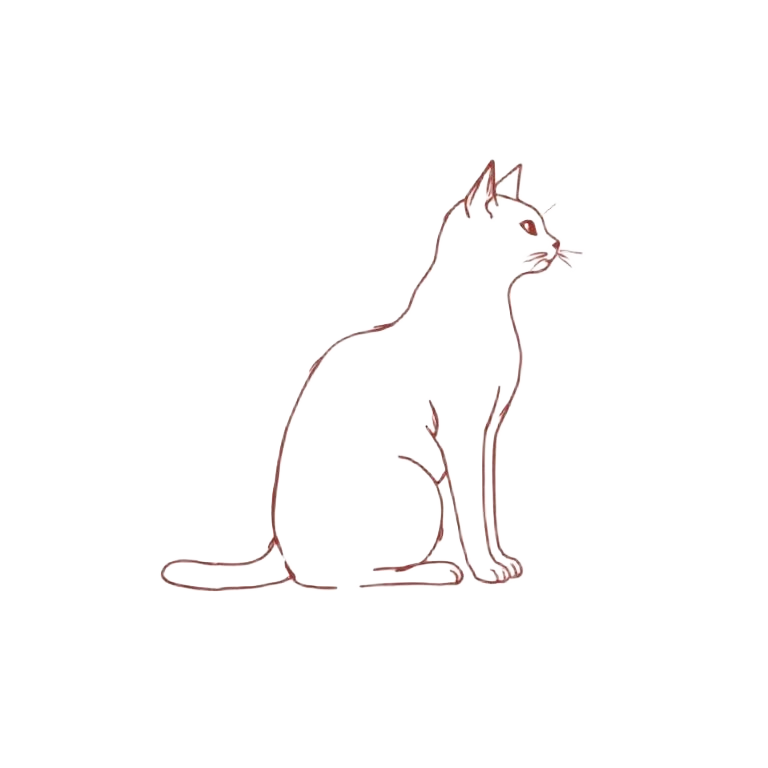 Line illustration of a cat